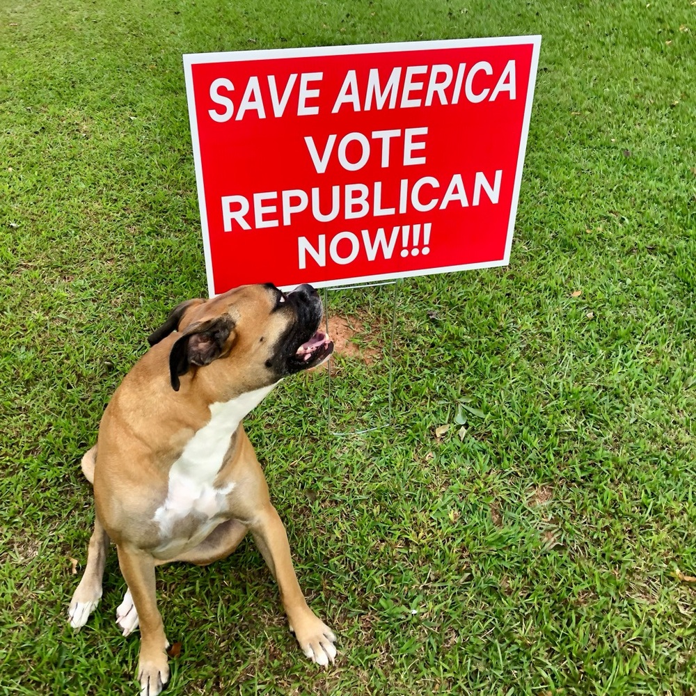 Republican Yard Sign
